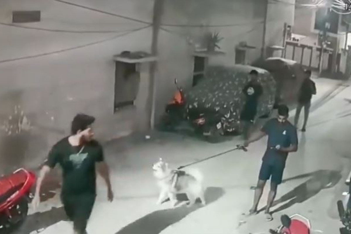 A disturbing incident unfolded in Hyderabad as a man and his dog were brutally attacked by their neighbors during an evening stroll, allegedly in a revenge attack.