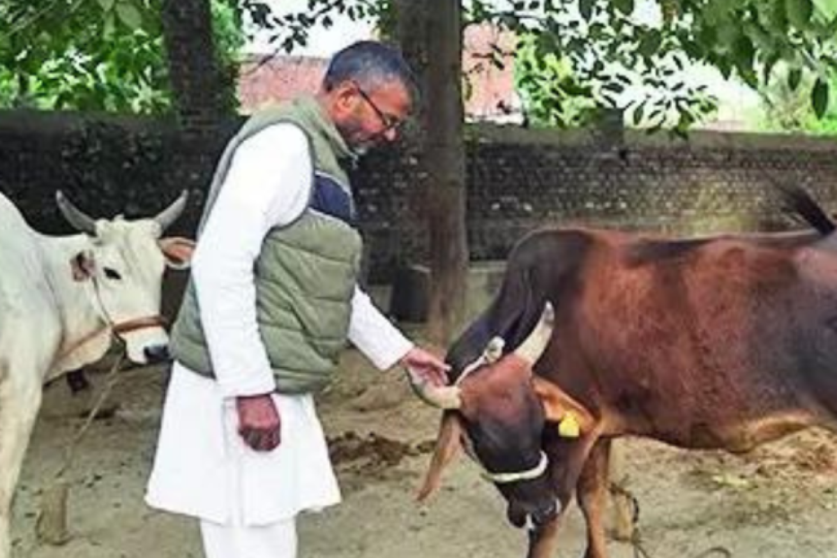 Back to their roots? A village where Naushad is known as Dubey and Irshad goes by Pandey.