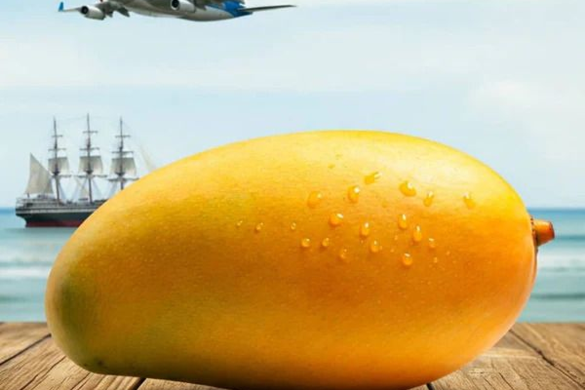 It Was the Mangoes! What Glucose Trackers Catch That Lab Tests Miss